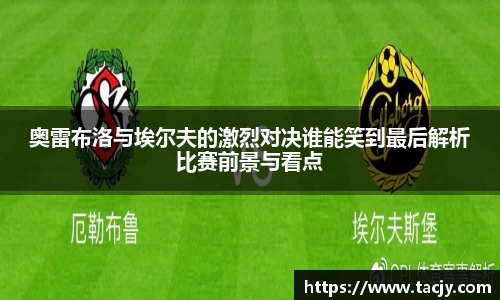 mk体育官网入口