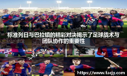 mk体育官网入口