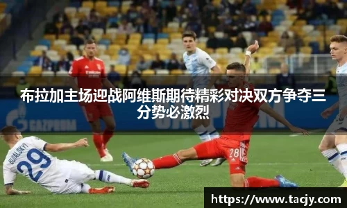 mk体育手机网页版登录